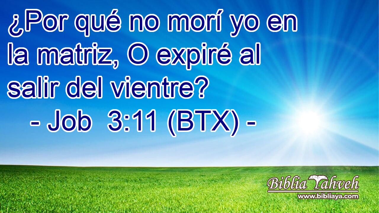 ¿Por qué no morí yo en la matriz, O expiré al salir del vientre?