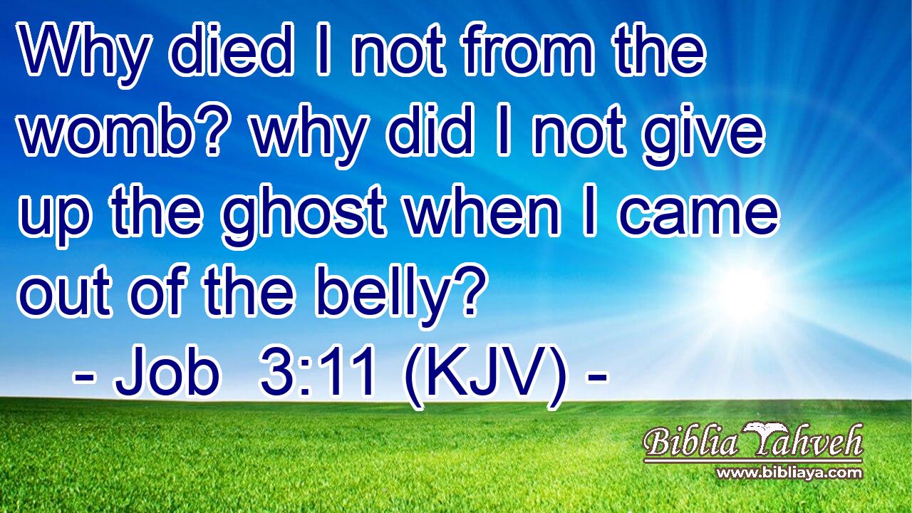 Why died I not from the womb? why did I not give up the ghost when I came out of the belly?