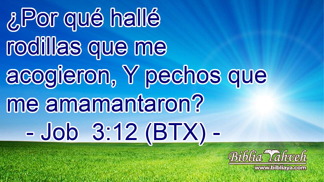 ¿Por qué hallé rodillas que me acogieron, Y pechos que me amamantaron?