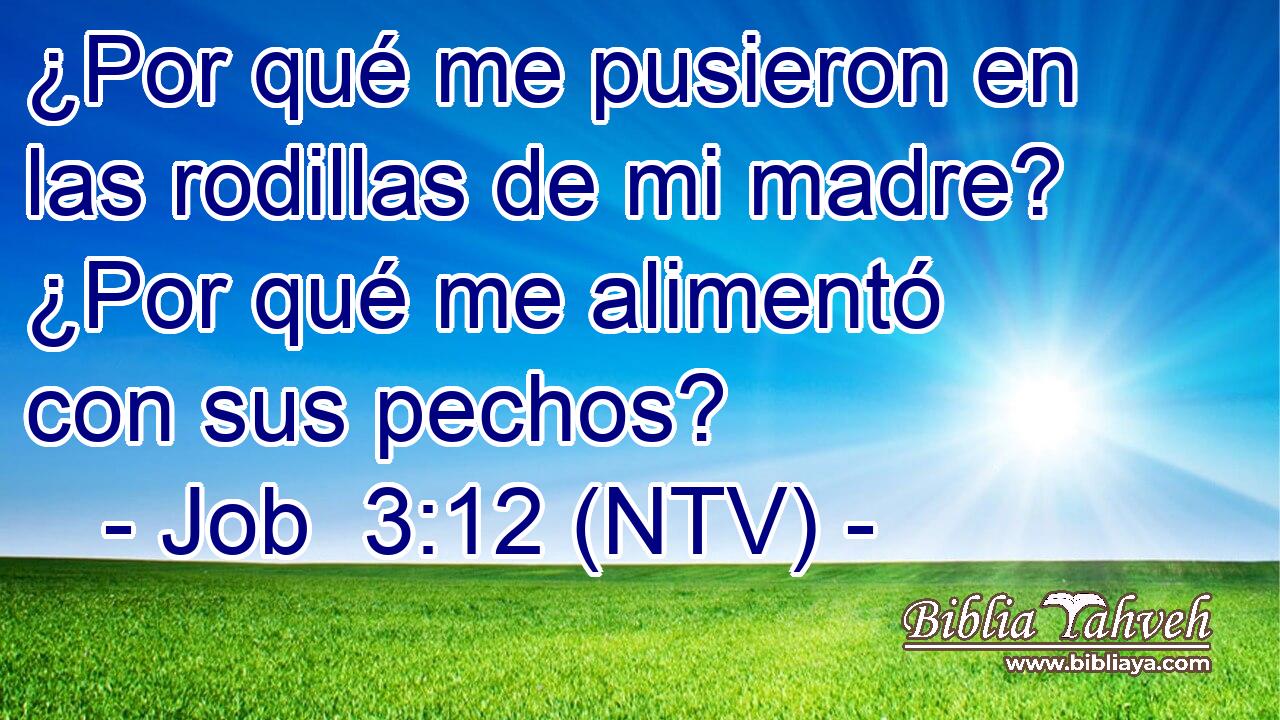 ¿Por qué me pusieron en las rodillas de mi madre? ¿Por qué me alimentó con sus pechos?