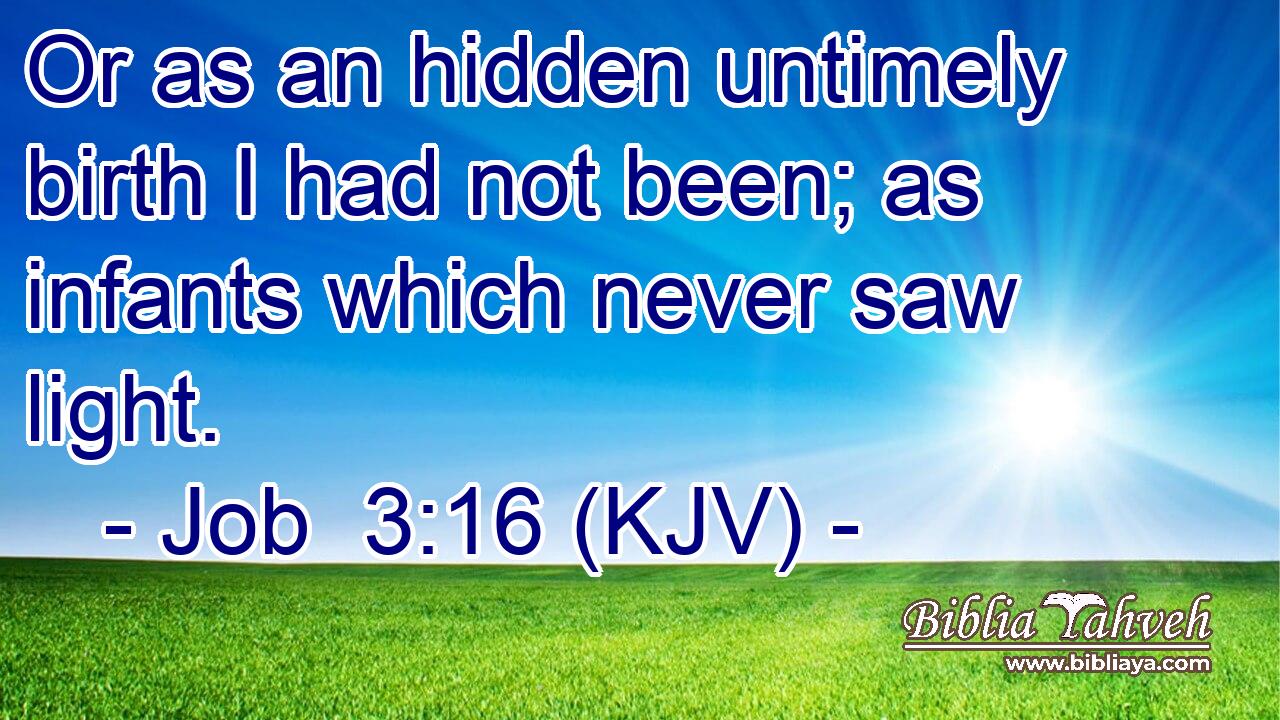 Or as an hidden untimely birth I had not been; as infants which never saw light.