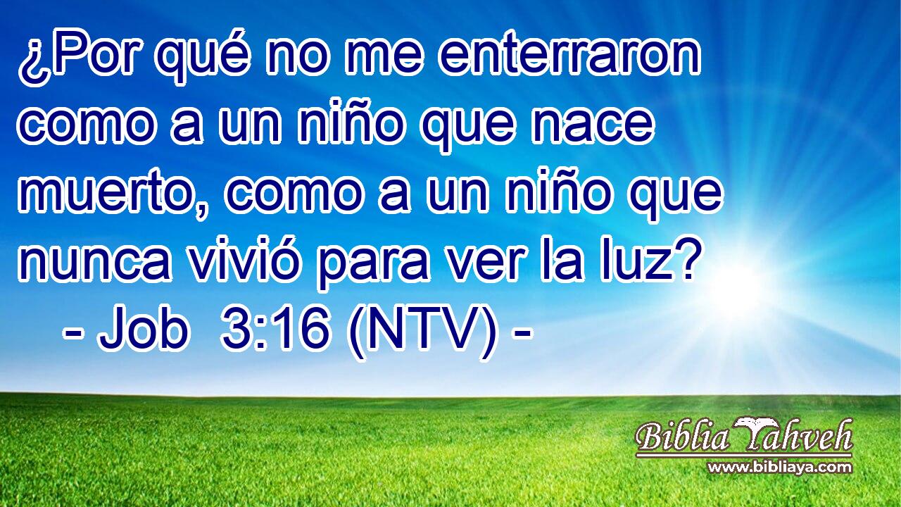 ¿Por qué no me enterraron como a un niño que nace muerto, como a un niño que nunca vivió para ver la luz?