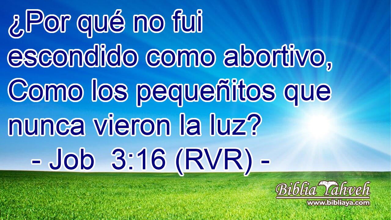 ¿Por qué no fui escondido como abortivo, Como los pequeñitos que nunca vieron la luz?