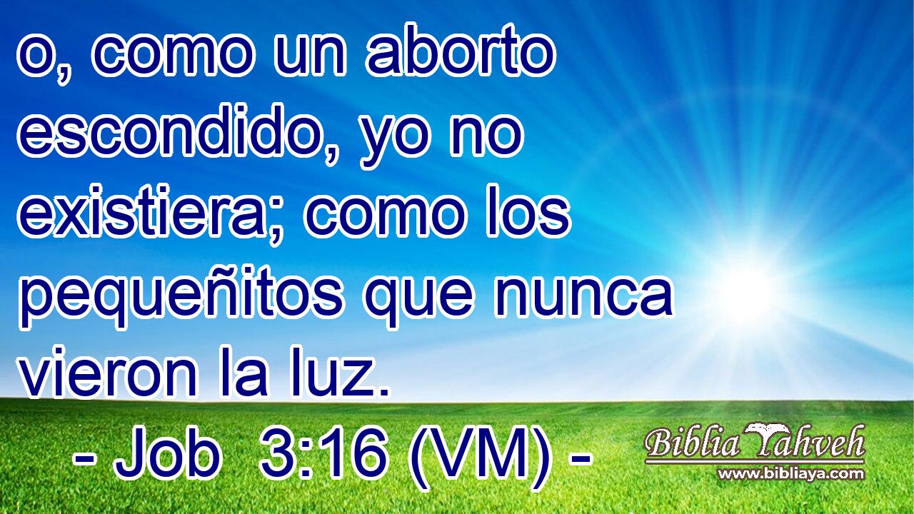  o, como un aborto escondido, yo no existiera; como los pequeñitos que nunca vieron la luz. 