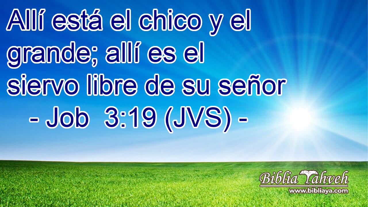 Allí está el chico y el grande; allí es el siervo libre de su señor