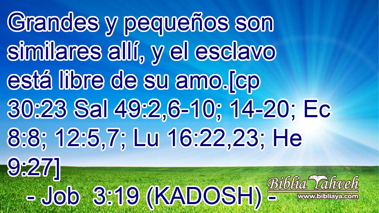  Grandes y pequeños son similares allí, y el esclavo está libre de su amo.[cp 30:23 Sal 49:2,6-10; 14-20; Ec 8:8; 12:5,7; Lu 16:22,23; He 9:27] 
