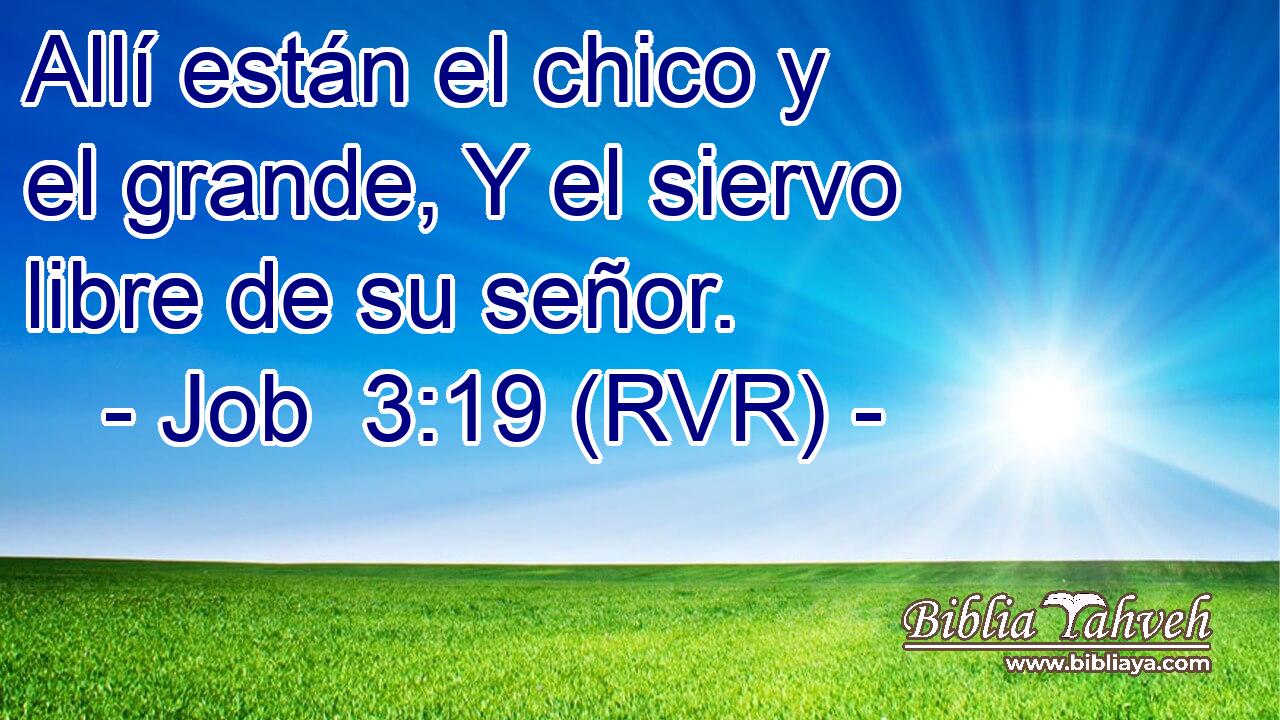 Allí están el chico y el grande, Y el siervo libre de su señor.