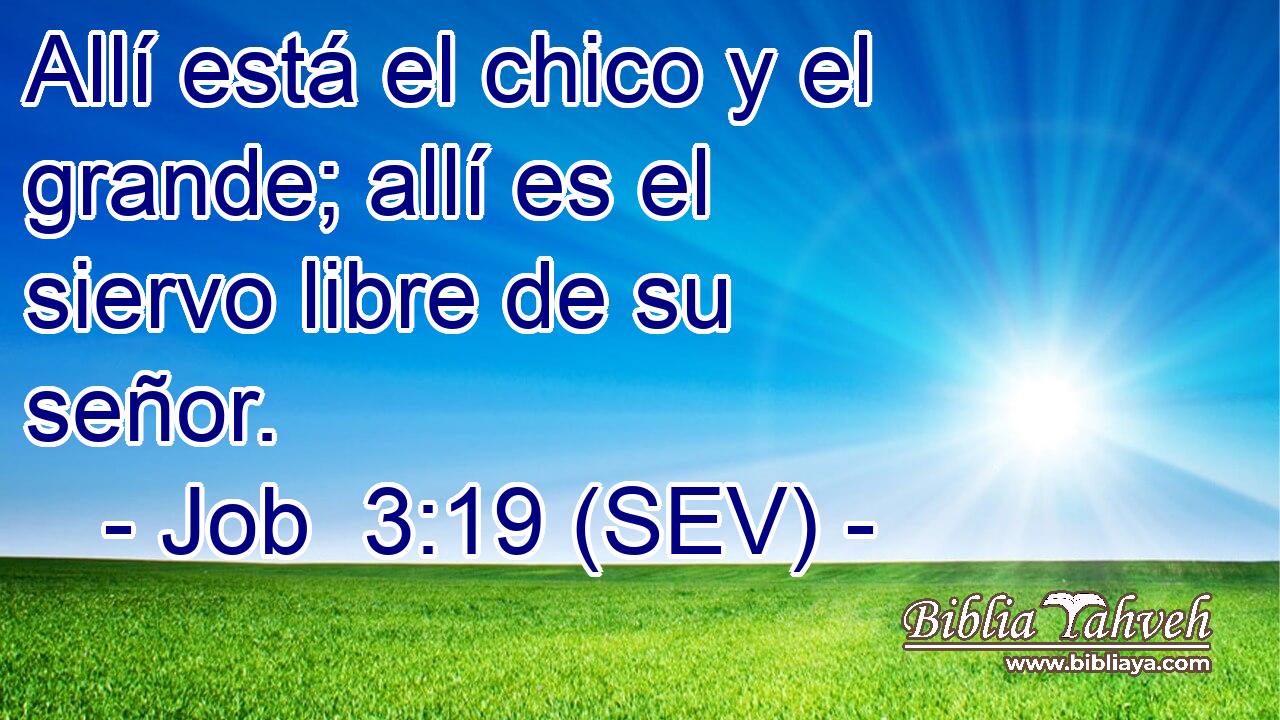Allí está el chico y el grande; allí es el siervo libre de su señor.