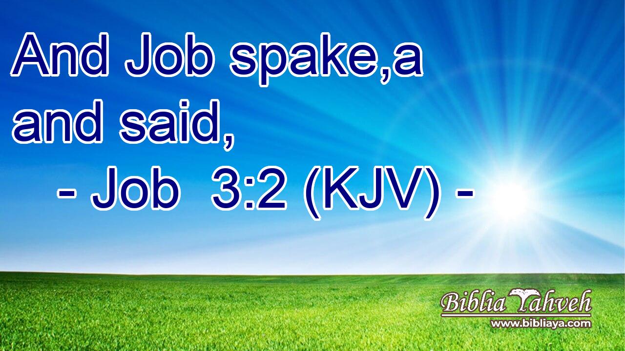 And Job spake,a and said,