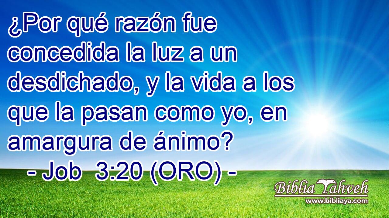  ¿Por qué razón fue concedida la luz a un desdichado, y la vida a los que la pasan como yo, en amargura de ánimo? 
