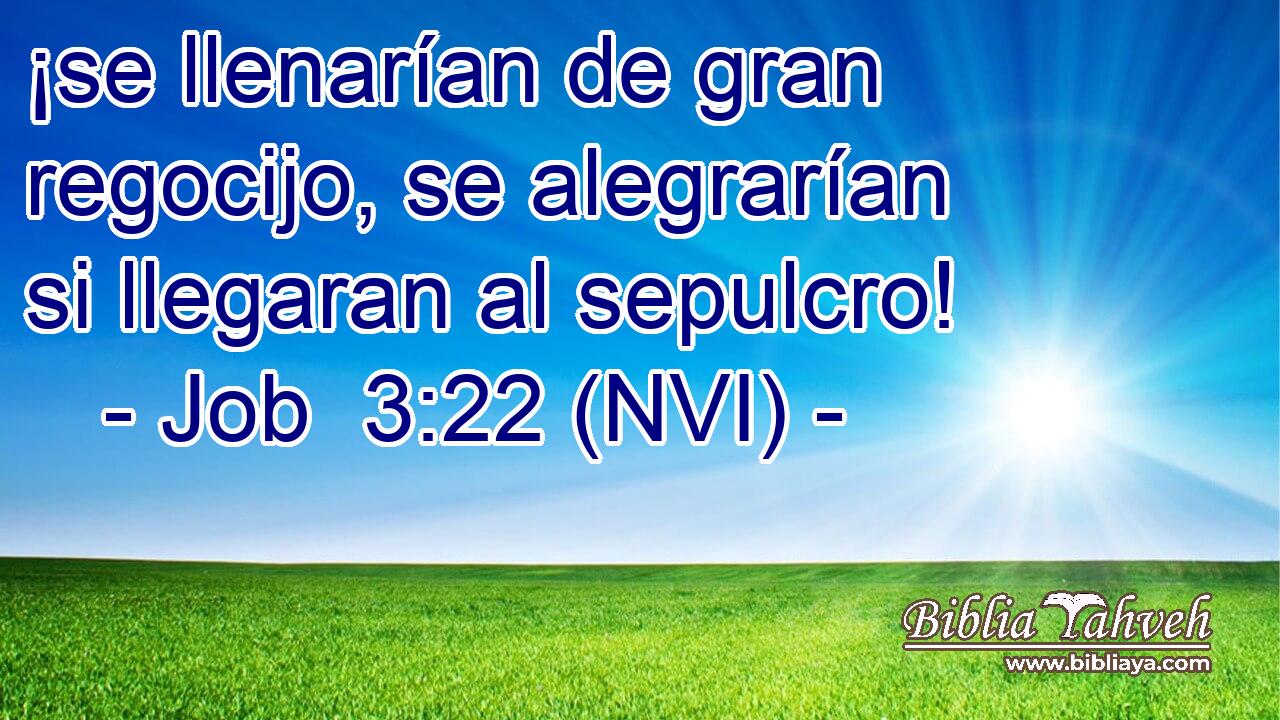  ¡se llenarían de gran regocijo, se alegrarían si llegaran al sepulcro! 