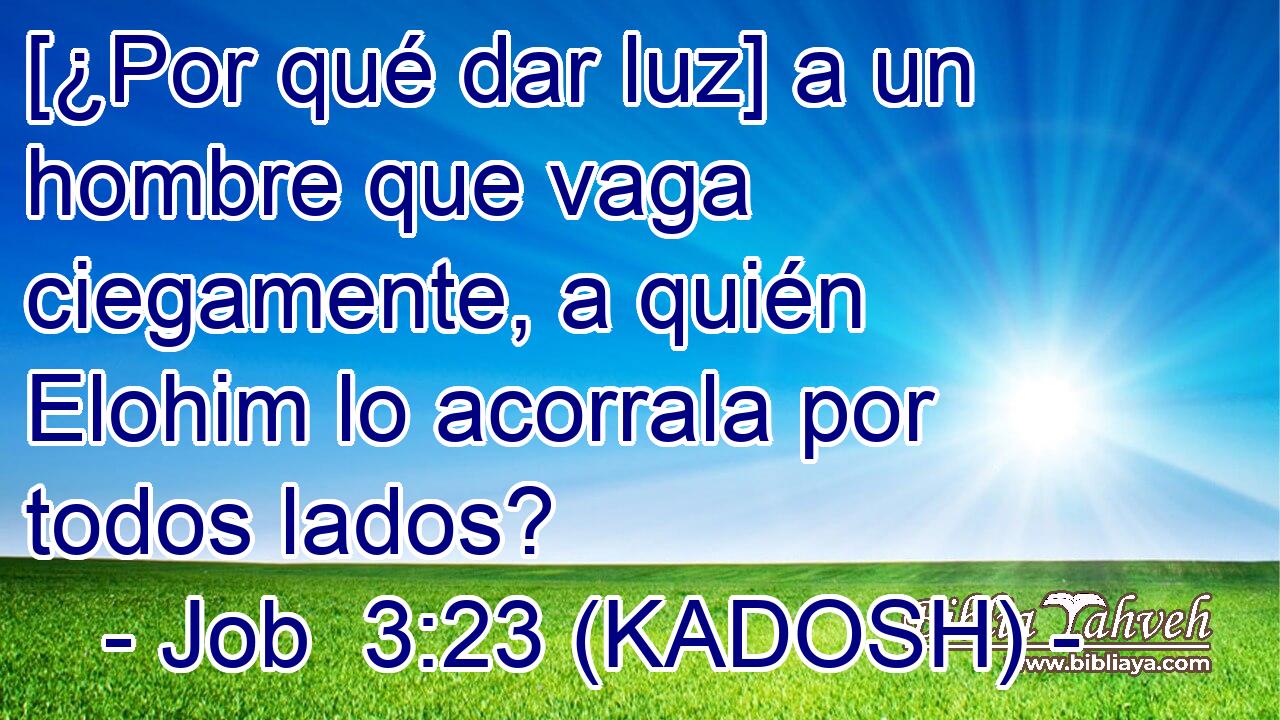  [¿Por qué dar luz] a un hombre que vaga ciegamente, a quién Elohim lo acorrala por todos lados? 