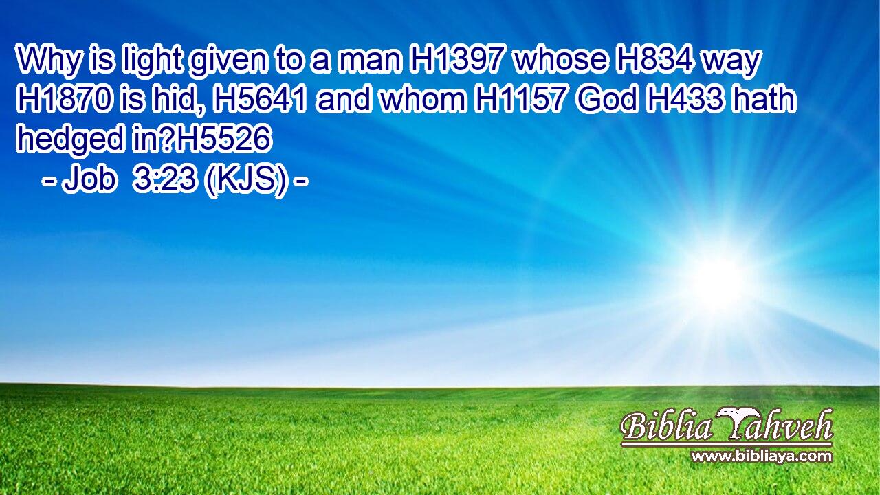 Why is light given to a man H1397 whose H834 way H1870 is hid, H5641 and whom H1157 God H433 hath hedged in?H5526