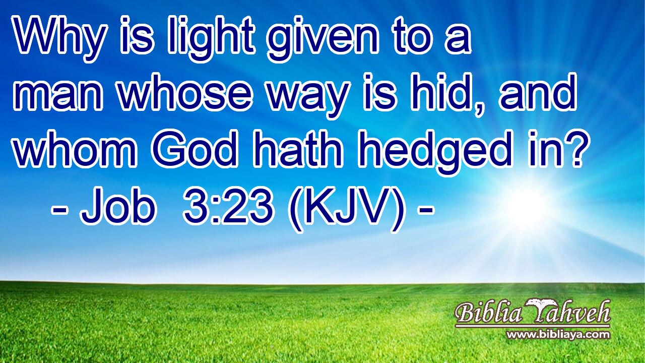 Why is light given to a man whose way is hid, and whom God hath hedged in?