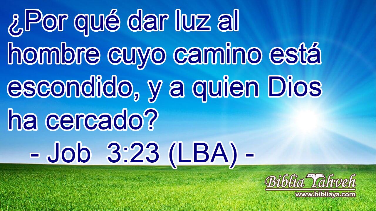 ¿Por qué dar luz al hombre cuyo camino está escondido, y a quien Dios ha cercado?