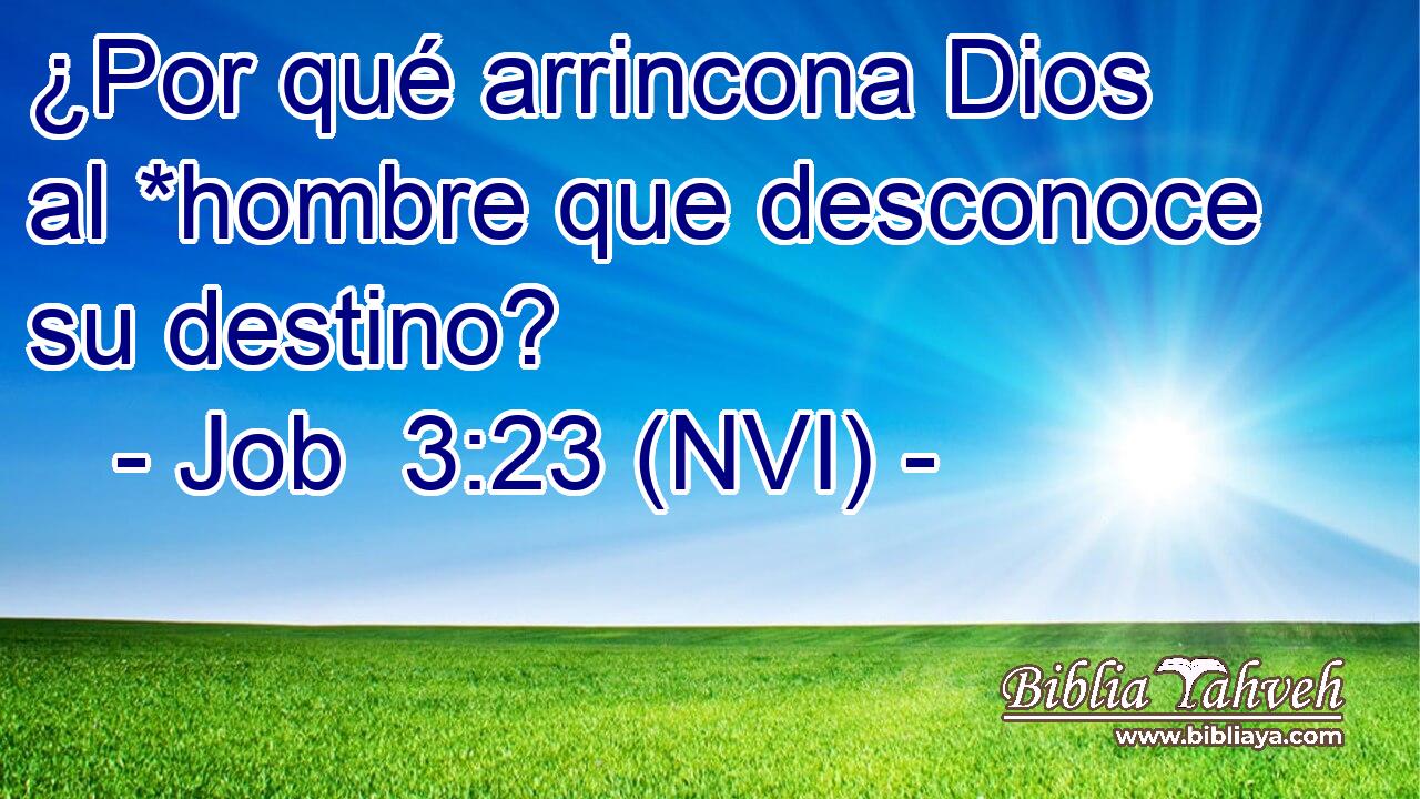  ¿Por qué arrincona Dios al *hombre que desconoce su destino? 