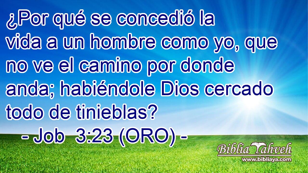  ¿Por qué se concedió la vida a un hombre como yo, que no ve el camino por donde anda; habiéndole Dios cercado todo de tinieblas? 