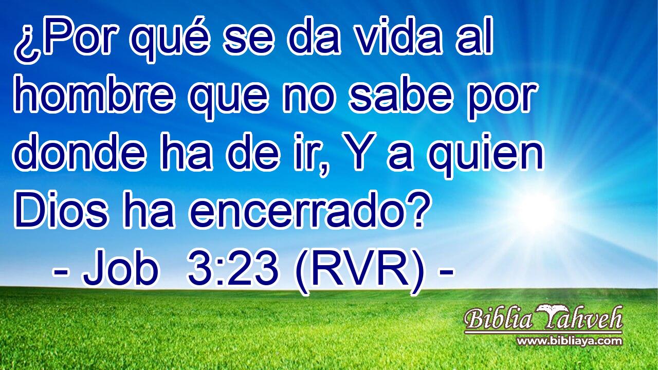 job-3-23-rvr-por-qu-se-da-vida-al-hombre-que-no-sabe-por