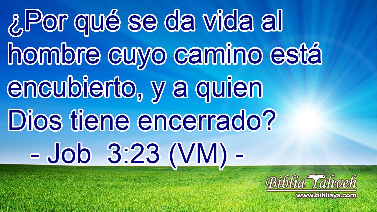  ¿Por qué se da vida al hombre cuyo camino está encubierto, y a quien Dios tiene encerrado? 