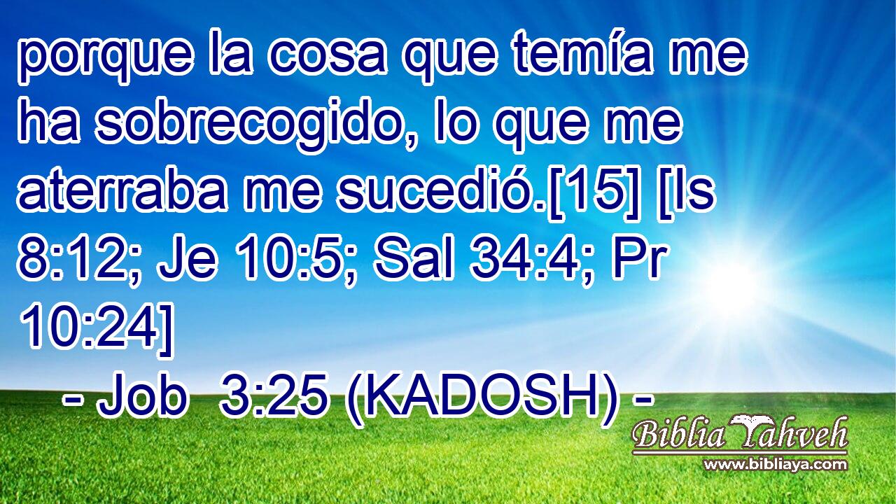  porque la cosa que temía me ha sobrecogido, lo que me aterraba me sucedió.[15] [Is 8:12; Je 10:5; Sal 34:4; Pr 10:24] 