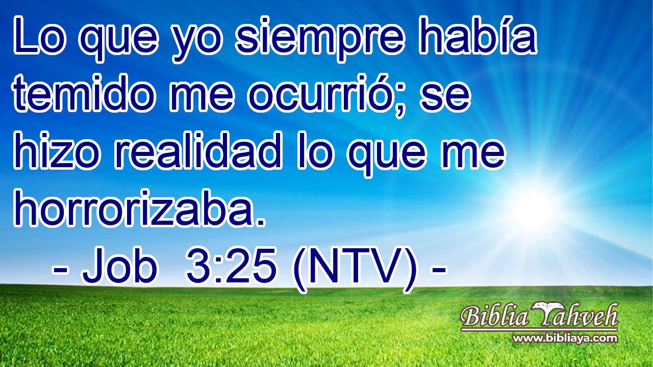 Lo que yo siempre había temido me ocurrió; se hizo realidad lo que me horrorizaba.