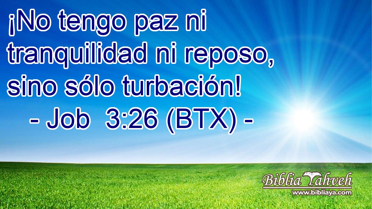 ¡No tengo paz ni tranquilidad ni reposo, sino sólo turbación!