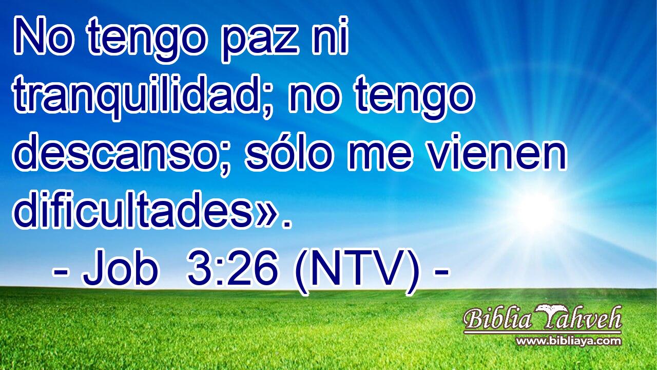 No tengo paz ni tranquilidad; no tengo descanso; sólo me vienen dificultades».