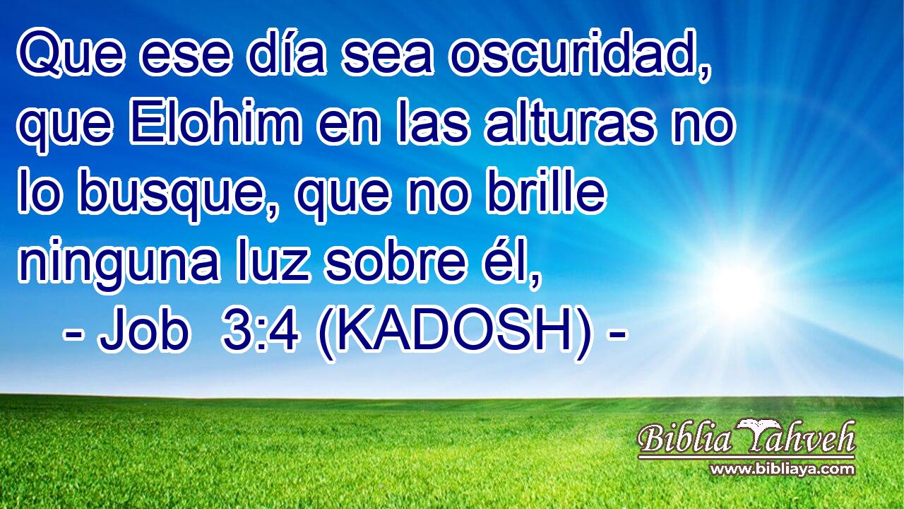  Que ese día sea oscuridad, que Elohim en las alturas no lo busque, que no brille ninguna luz sobre él, 