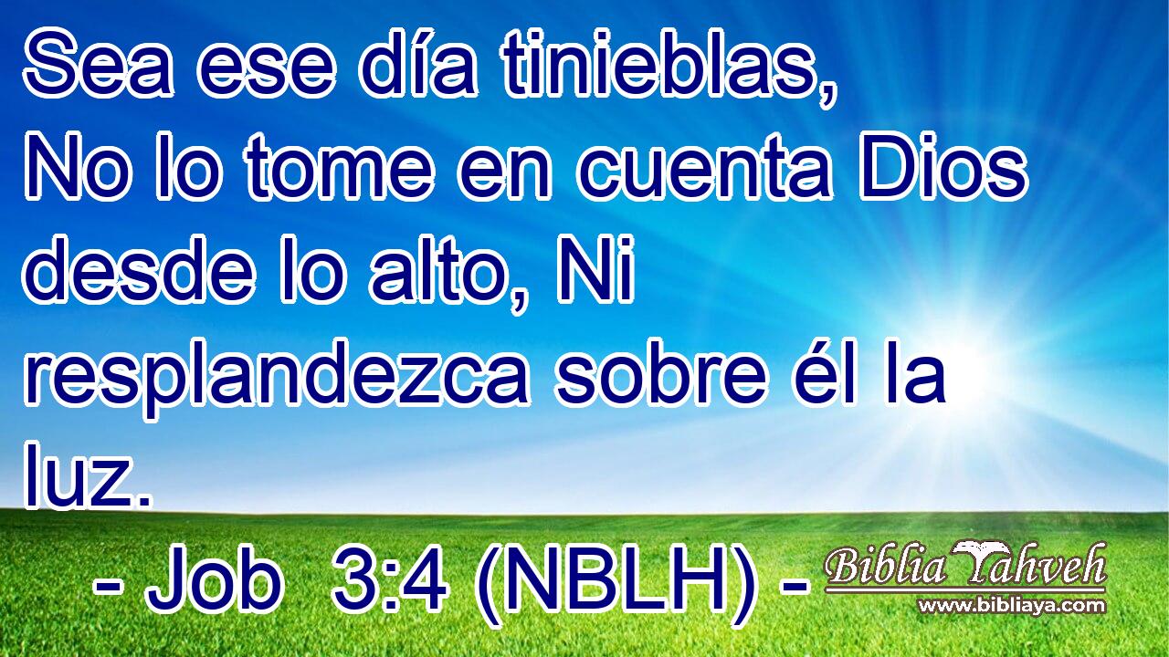  Sea ese día tinieblas, No lo tome en cuenta Dios desde lo alto, Ni resplandezca sobre él la luz. 