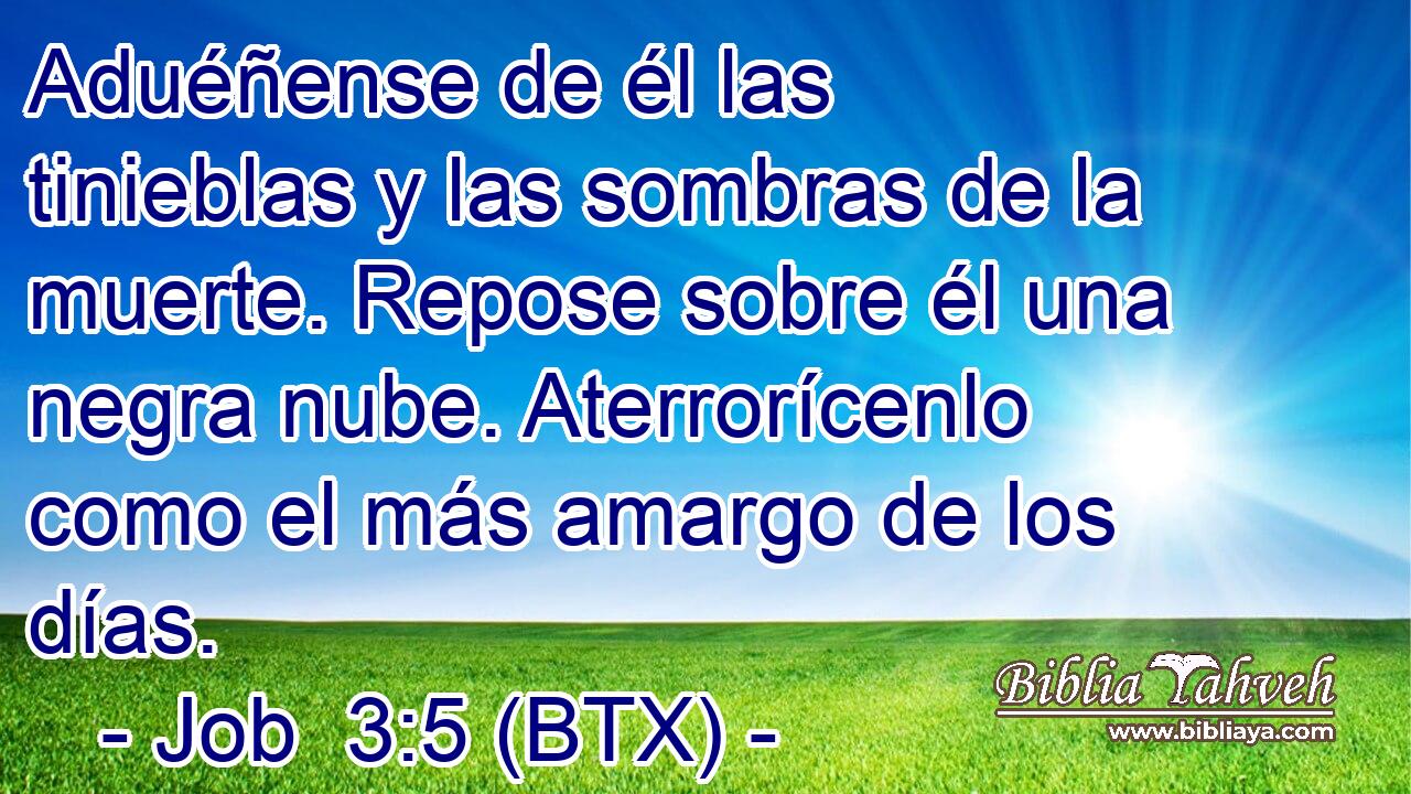 Aduéñense de él las tinieblas y las sombras de la muerte. Repose sobre él una negra nube. Aterrorícenlo como el más amargo de los días.