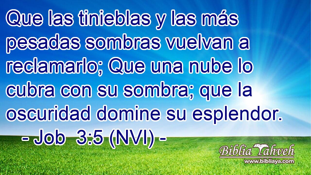  Que las tinieblas y las más pesadas sombras vuelvan a reclamarlo; Que una nube lo cubra con su sombra; que la oscuridad domine su esplendor. 