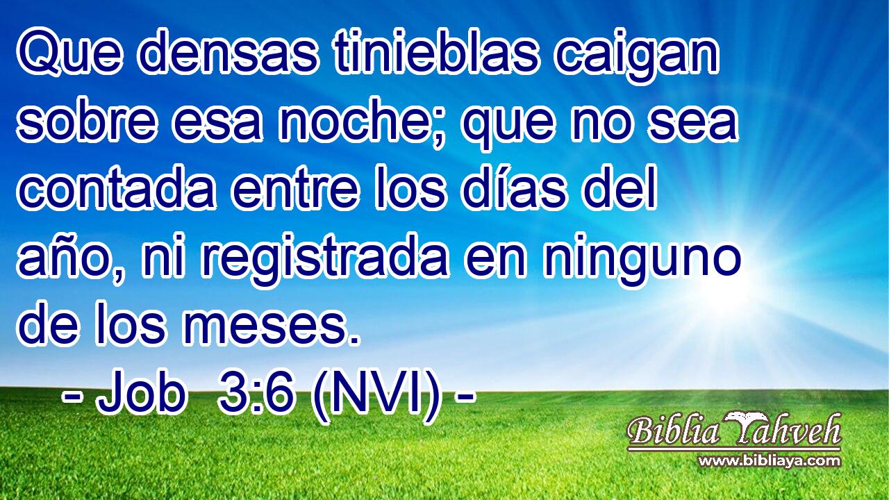  Que densas tinieblas caigan sobre esa noche; que no sea contada entre los días del año, ni registrada en ninguno de los meses. 