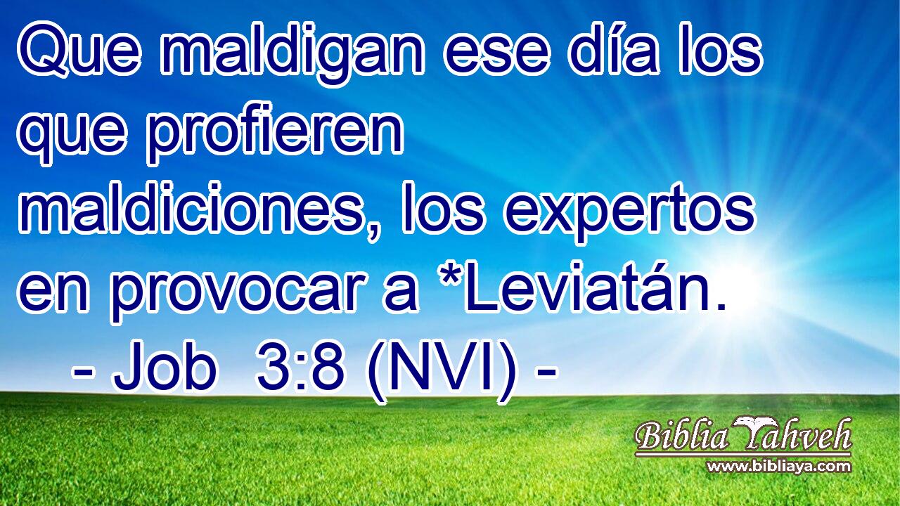  Que maldigan ese día los que profieren maldiciones, los expertos en provocar a *Leviatán. 