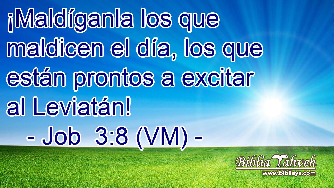  ¡Maldíganla los que maldicen el día, los que están prontos a excitar al Leviatán! 