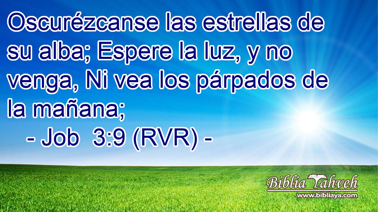 Oscurézcanse las estrellas de su alba; Espere la luz, y no venga, Ni vea los párpados de la mañana;