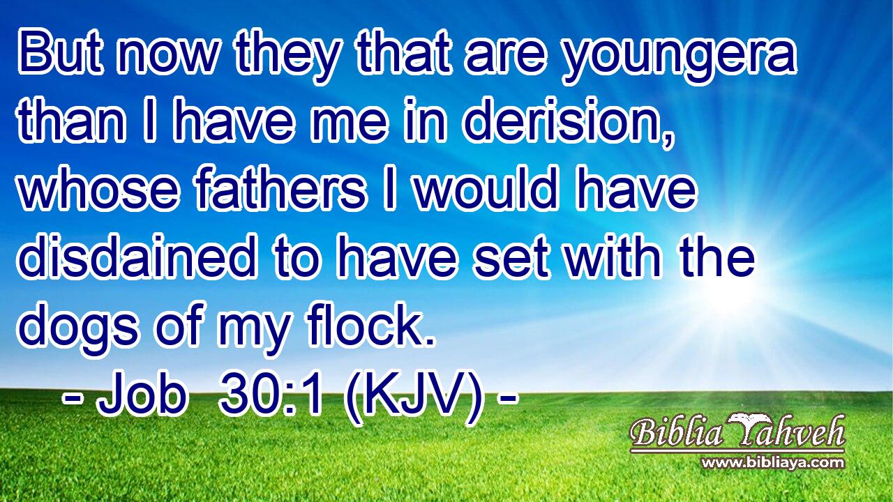 But now they that are youngera than I have me in derision, whose fathers I would have disdained to have set with the dogs of my flock.