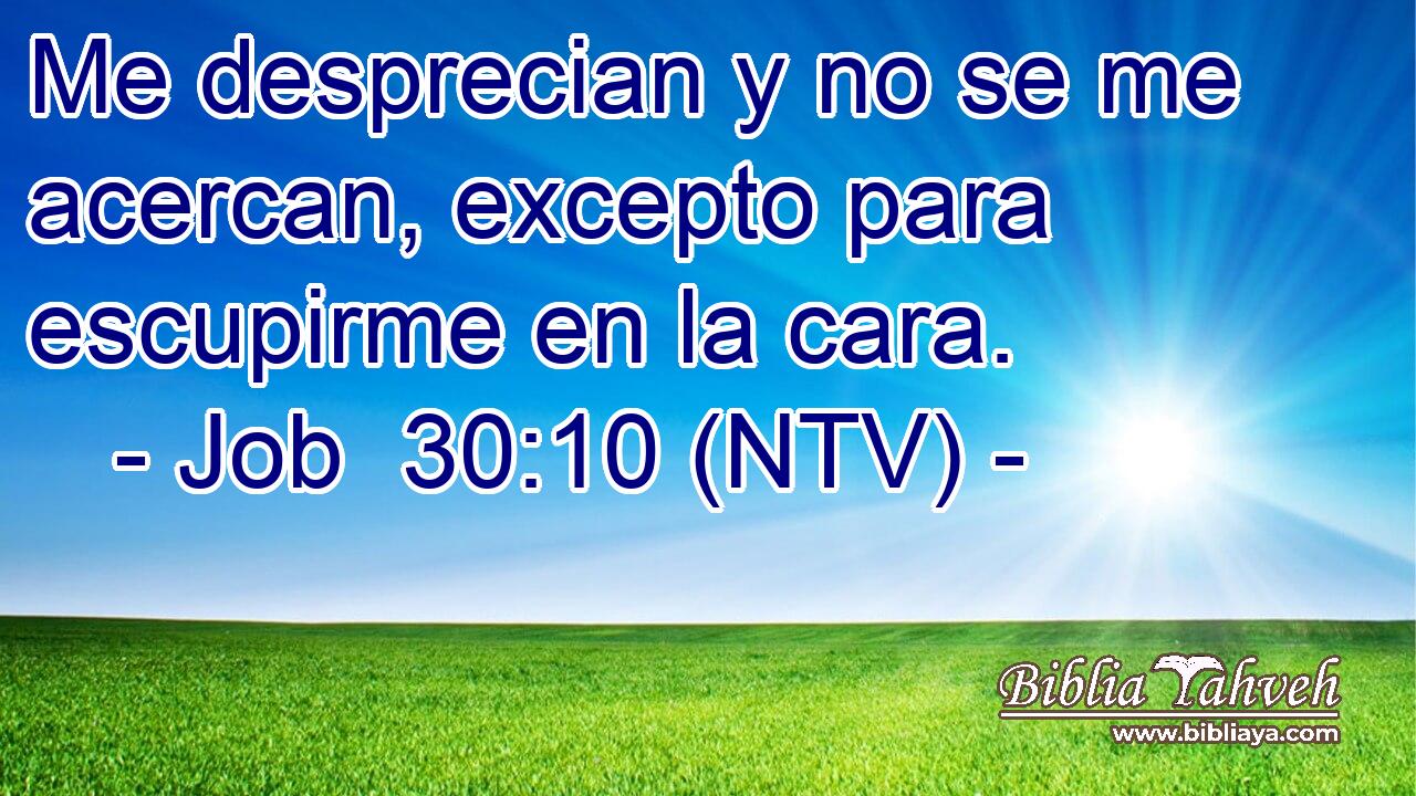 Me desprecian y no se me acercan, excepto para escupirme en la cara.