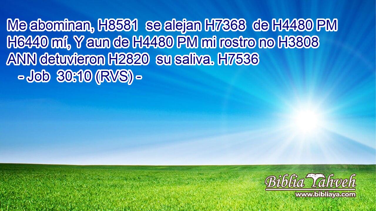 Me abominan, H8581  se alejan H7368  de H4480 PM H6440 mí, Y aun de H4480 PM mi rostro no H3808 ANN detuvieron H2820  su saliva. H7536  