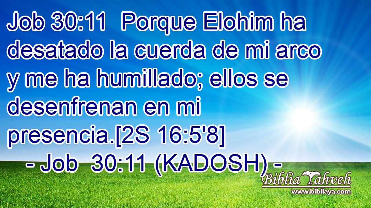  Porque Elohim ha desatado la cuerda de mi arco y me ha humillado; ellos se desenfrenan en mi presencia.[2S 16:5'8] 
