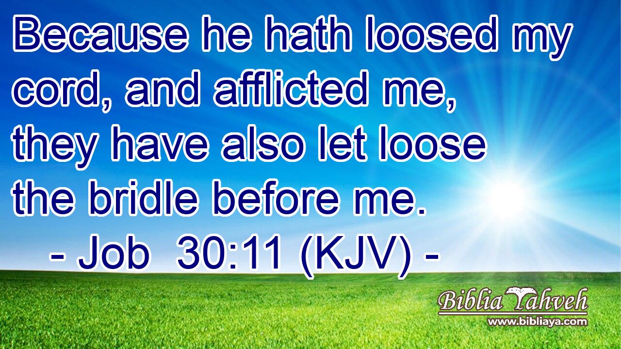 Because he hath loosed my cord, and afflicted me, they have also let loose the bridle before me.
