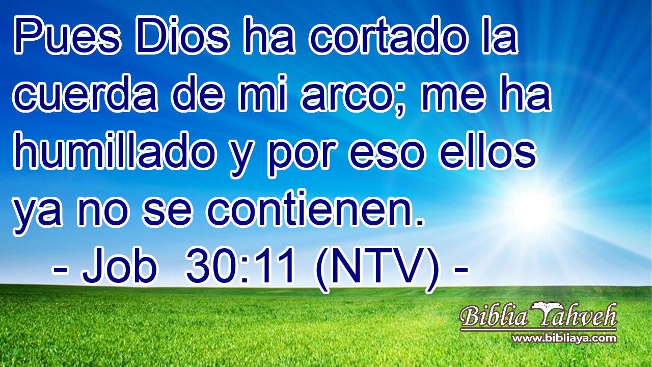 Pues Dios ha cortado la cuerda de mi arco; me ha humillado y por eso ellos ya no se contienen.