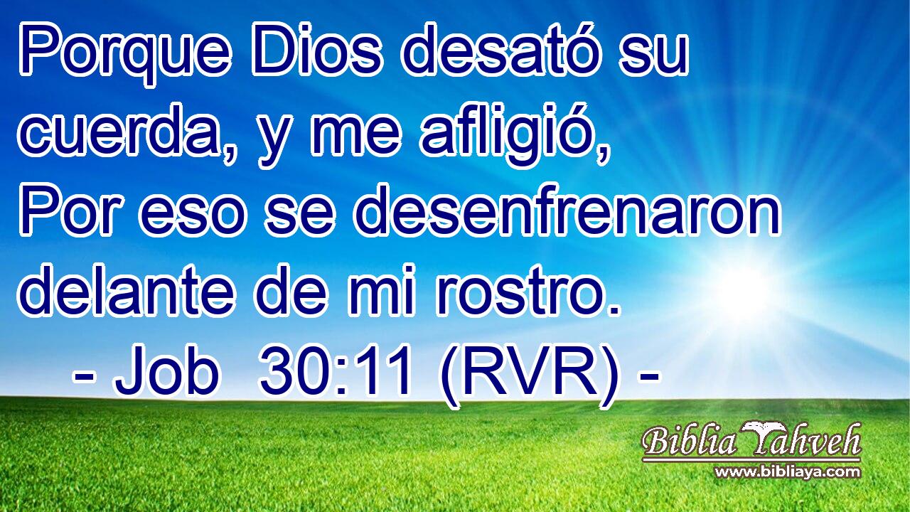 Porque Dios desató su cuerda, y me afligió, Por eso se desenfrenaron delante de mi rostro.