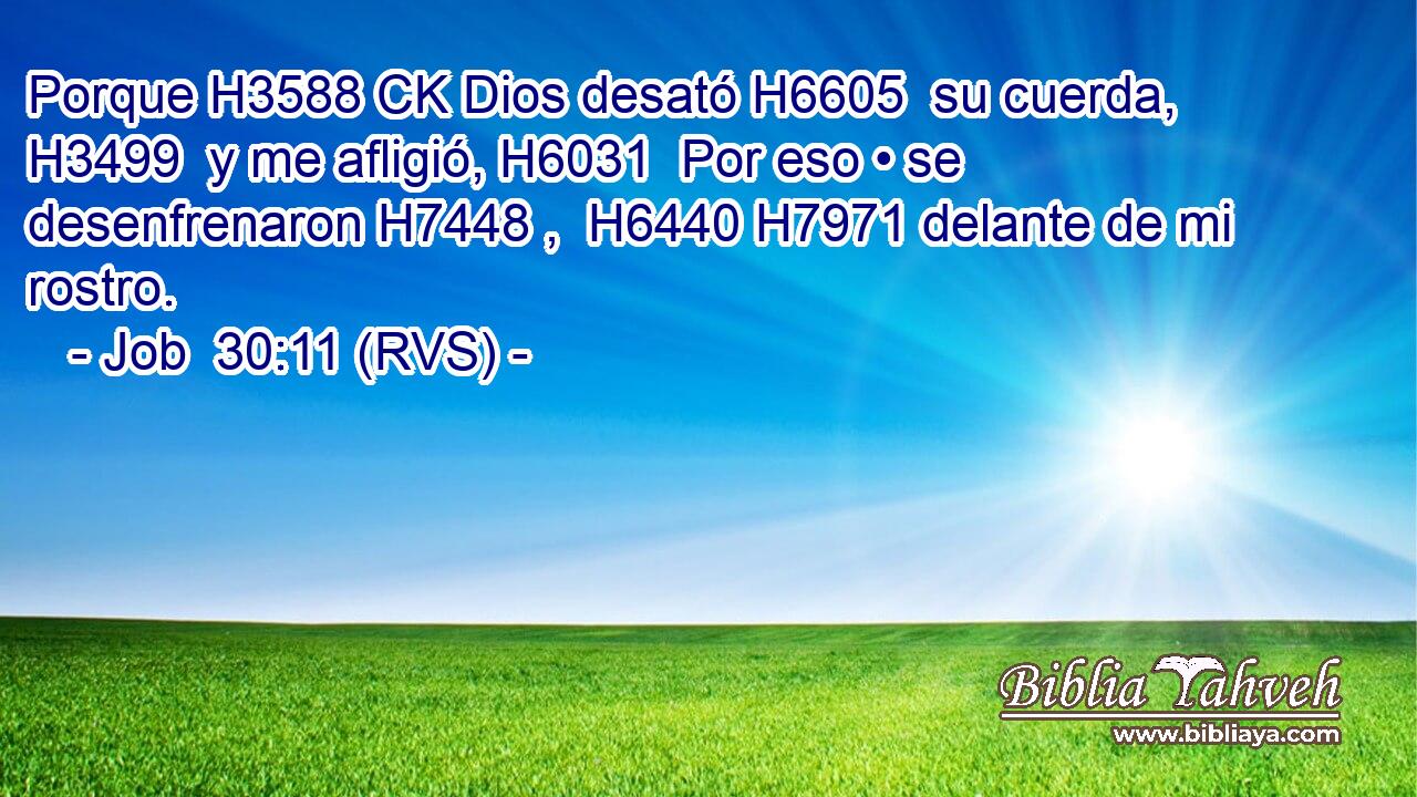 Porque H3588 CK Dios desató H6605  su cuerda, H3499  y me afligió, H6031  Por eso • se desenfrenaron H7448 ,  H6440 H7971 delante de mi rostro. 