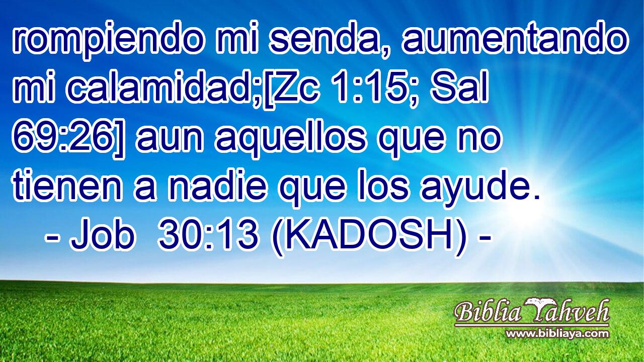  rompiendo mi senda, aumentando mi calamidad;[Zc 1:15; Sal 69:26] aun aquellos que no tienen a nadie que los ayude. 