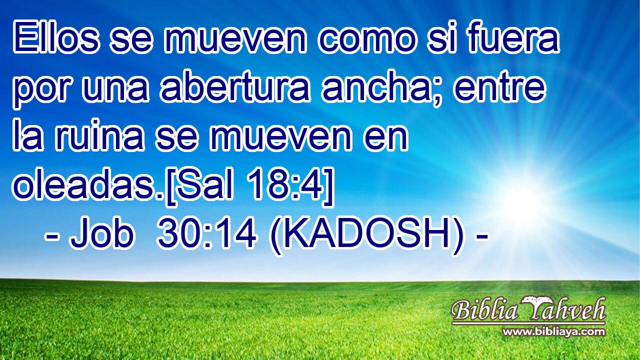  Ellos se mueven como si fuera por una abertura ancha; entre la ruina se mueven en oleadas.[Sal 18:4] 