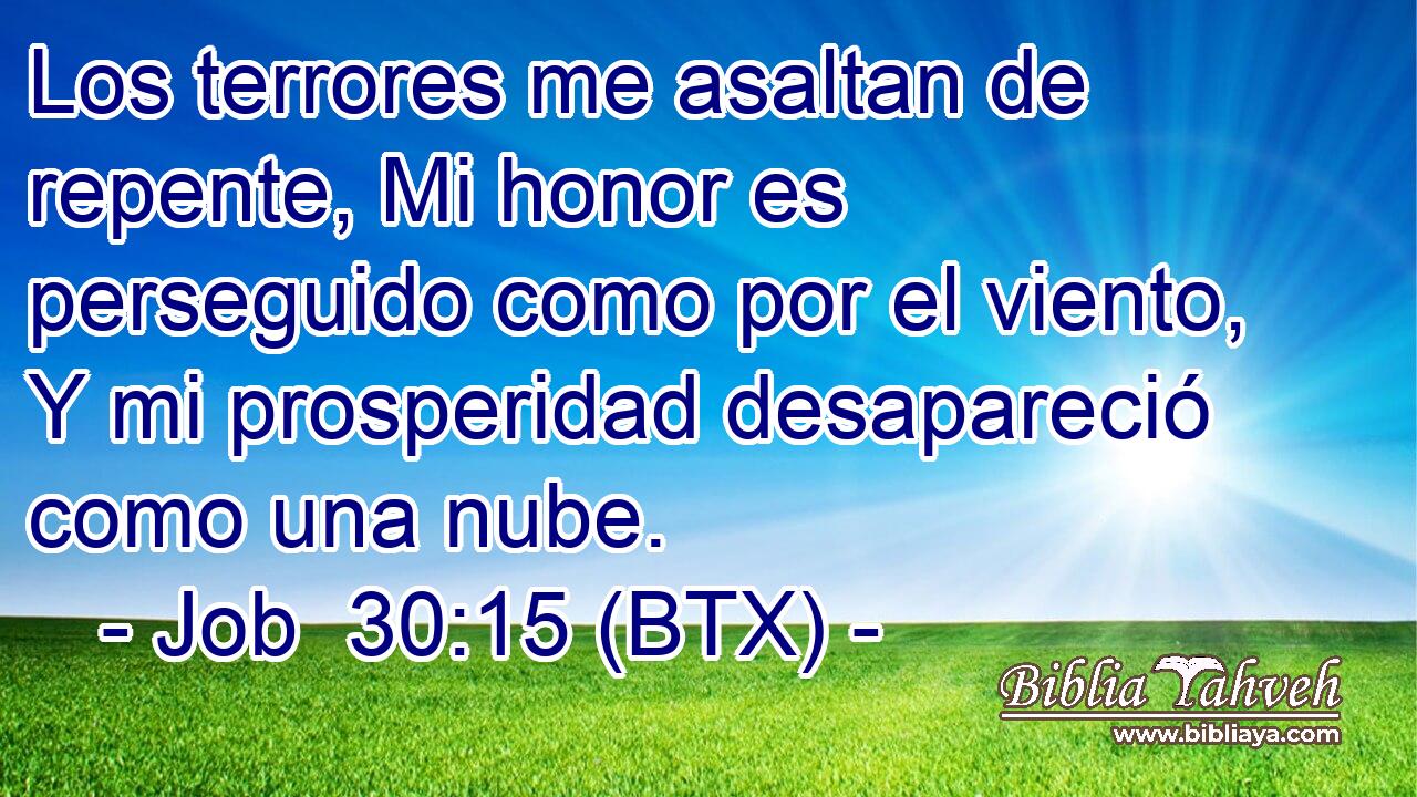 Los terrores me asaltan de repente, Mi honor es perseguido como por el viento, Y mi prosperidad desapareció como una nube.