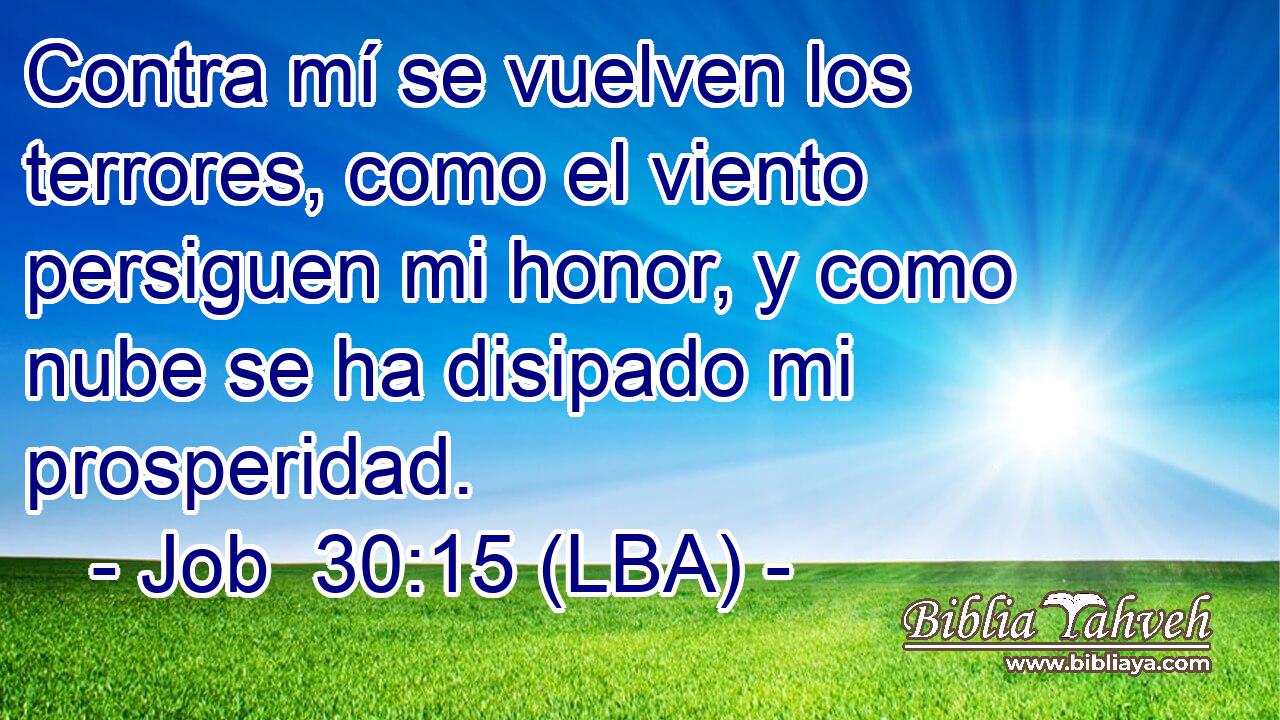 Contra mí se vuelven los terrores, como el viento persiguen mi honor, y como nube se ha disipado mi prosperidad.