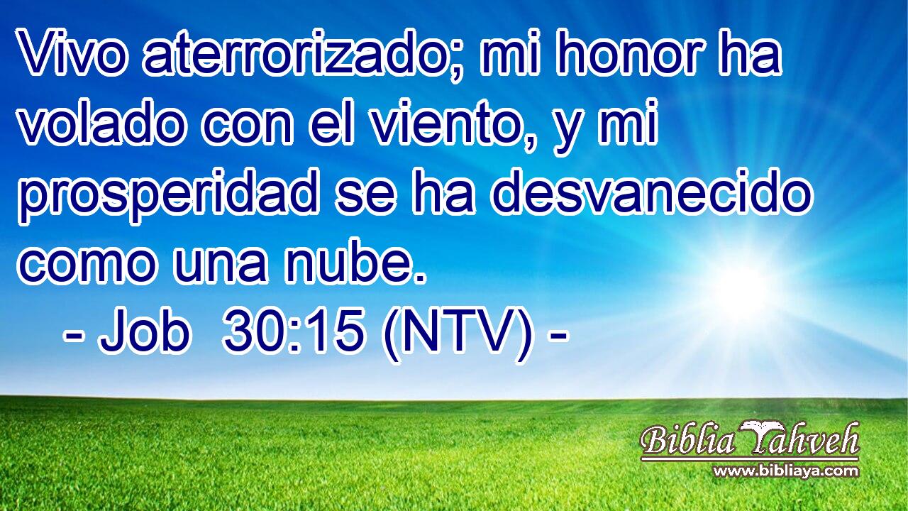 Vivo aterrorizado; mi honor ha volado con el viento, y mi prosperidad se ha desvanecido como una nube.