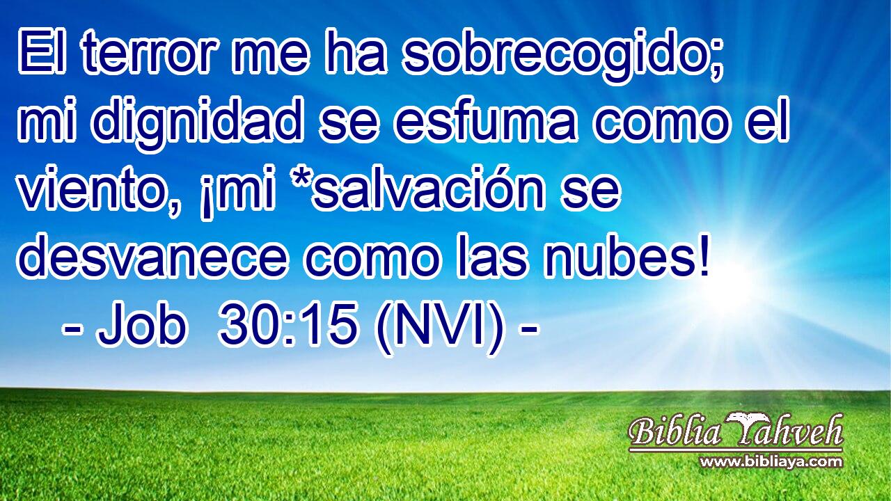  El terror me ha sobrecogido; mi dignidad se esfuma como el viento, ¡mi *salvación se desvanece como las nubes! 
