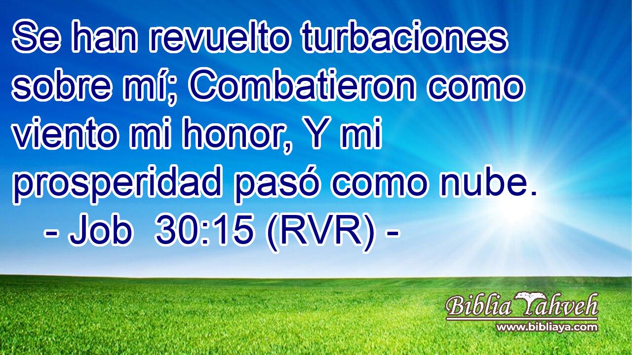 Se han revuelto turbaciones sobre mí; Combatieron como viento mi honor, Y mi prosperidad pasó como nube.